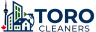 toro cleaners horizontal